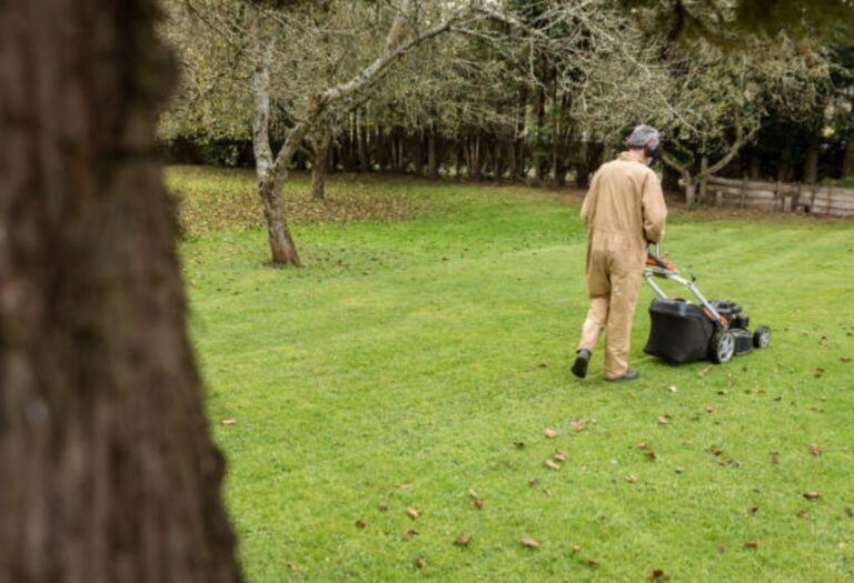 Aeration and Dethatching Order: A Step-by-Step Guide for Lawns