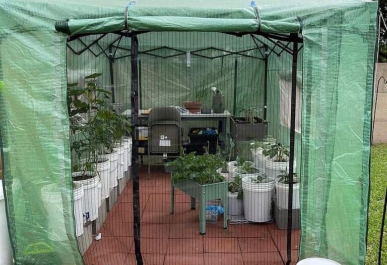 Grow Tent Temperature: Solving the Too Cold Problem