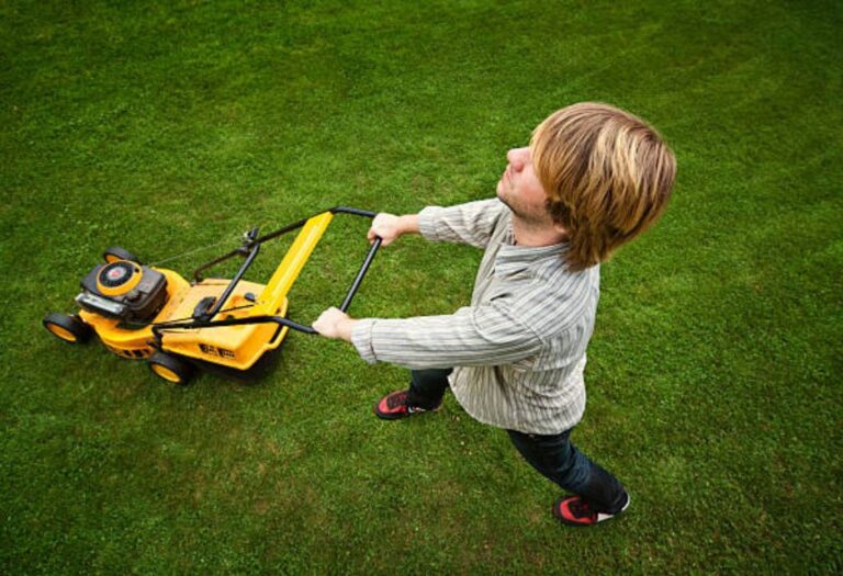 Signs Your Lawn Needs Aeration Explained Simply