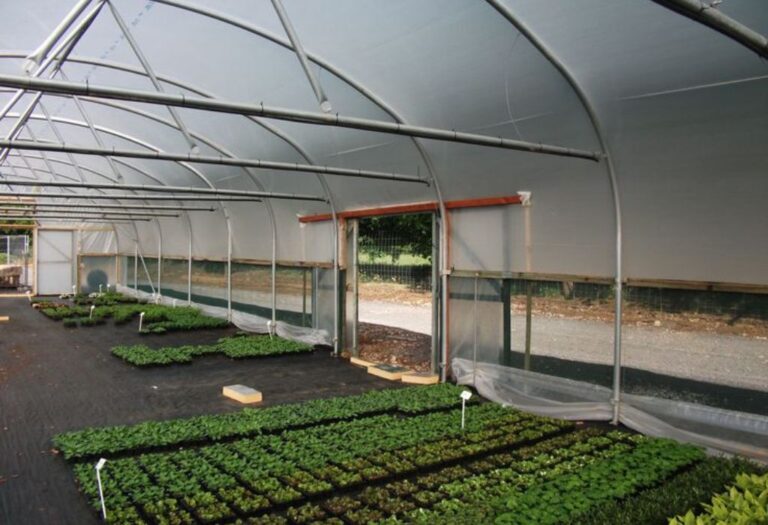 Why Humidity Is High in Your Grow Tent and How To Fix It