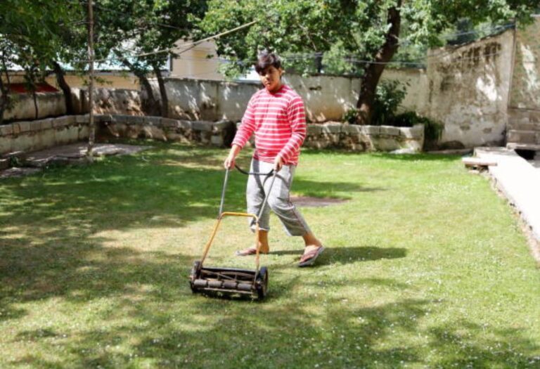 Can Aeration Damage Lawn and How to Prevent It?