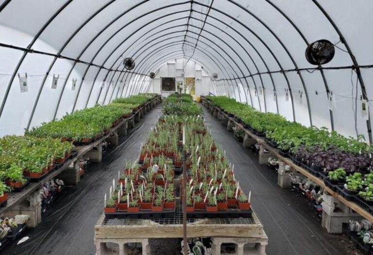 How to Keep Your Grow Tent Cool: A Simple Guide