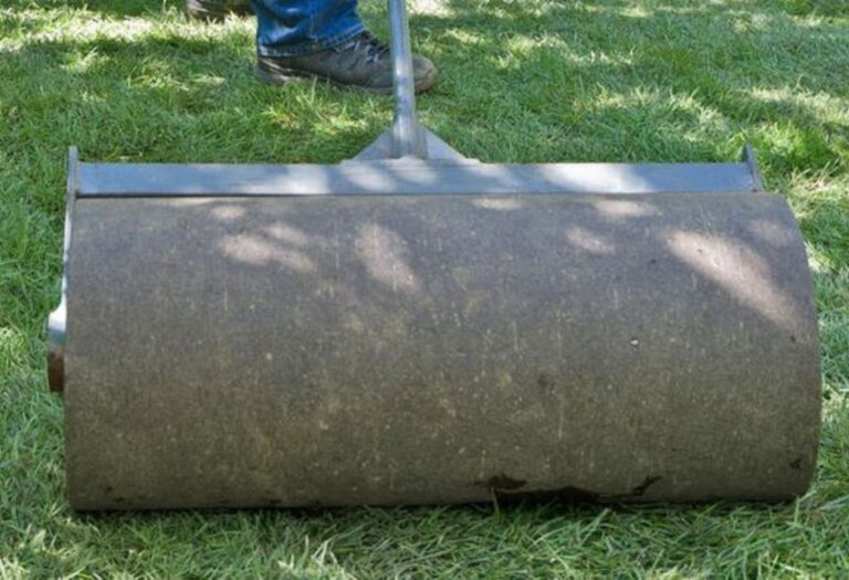 Lawn Roller vs Lawn Aerator Difference Explained Clearly