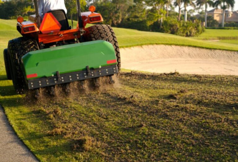Lawn Aeration in Spring: Your Step-by-Step Guide