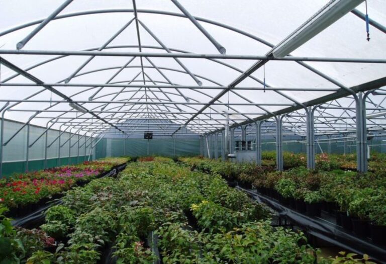 Controlling Humidity in a Grow Tent: A Simple Guide