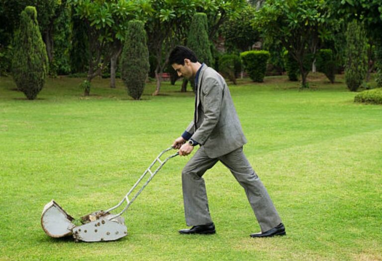 Should I Aerate My Lawn? A Simple Guide for a Green Yard