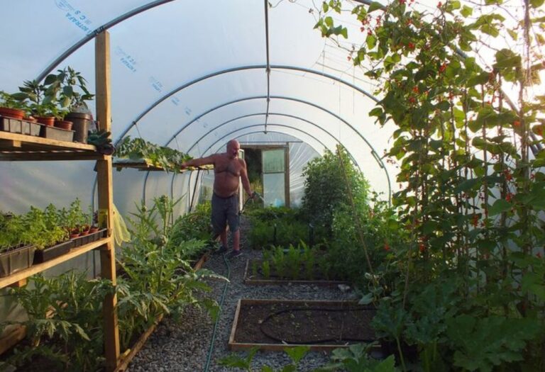 How To Install a Carbon Filter in Your Grow Tent Simply