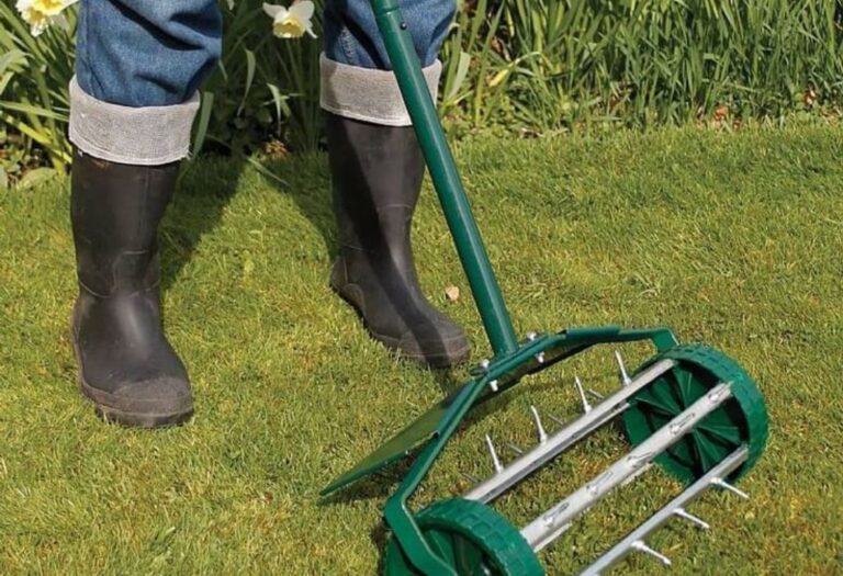 Filling Aeration Holes: Simple Steps for a Healthy Lawn