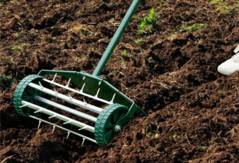Simple Lawn Aeration and Weed Control for a Healthy Yard