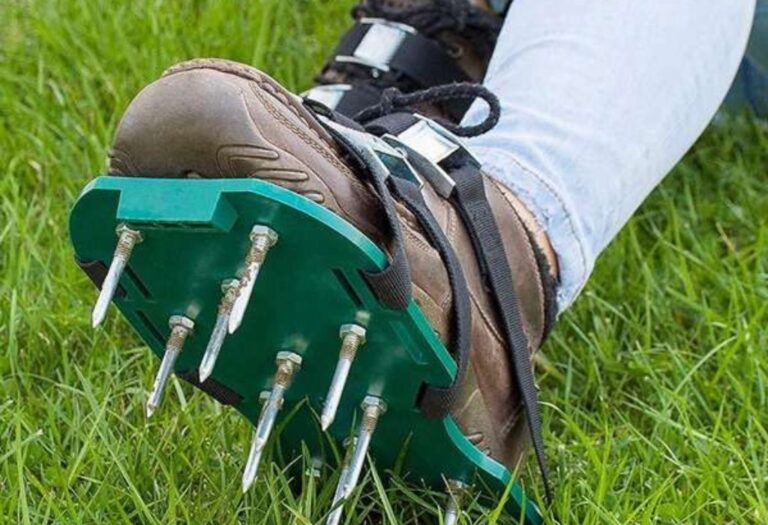 Why Aerator Shoes Fail: Lawn Care Truths Explained
