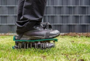 Why Aerator Shoes Fail: Lawn Care Truths Explained