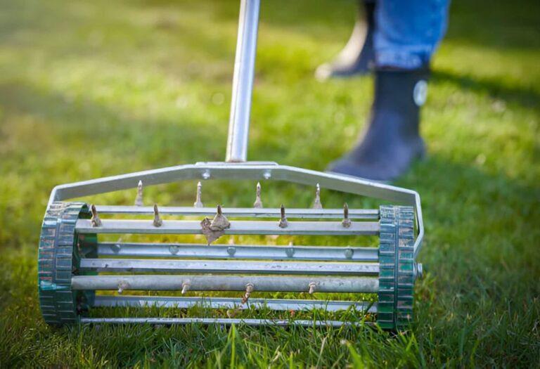 Fertilizer Application Following Aeration: A Complete Guide