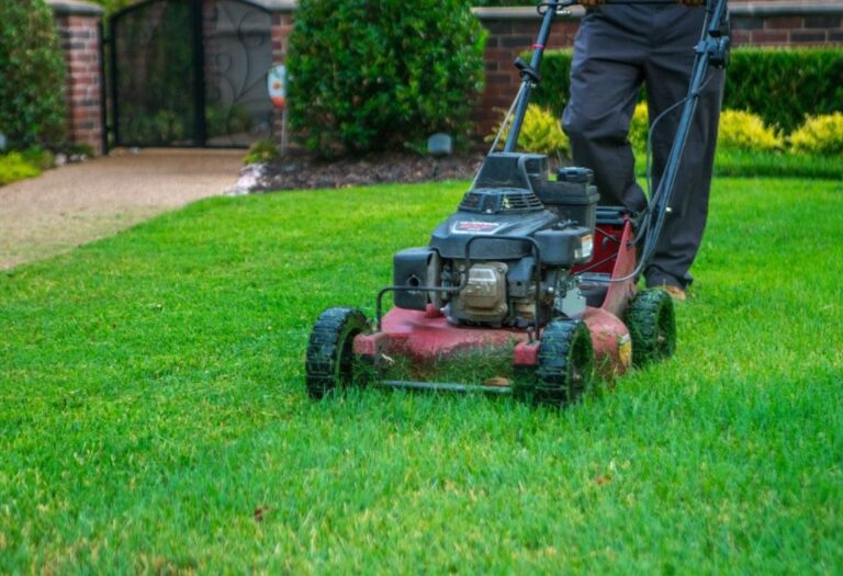 Does Aeration Reduce Thatch? A Lawn Care Guide