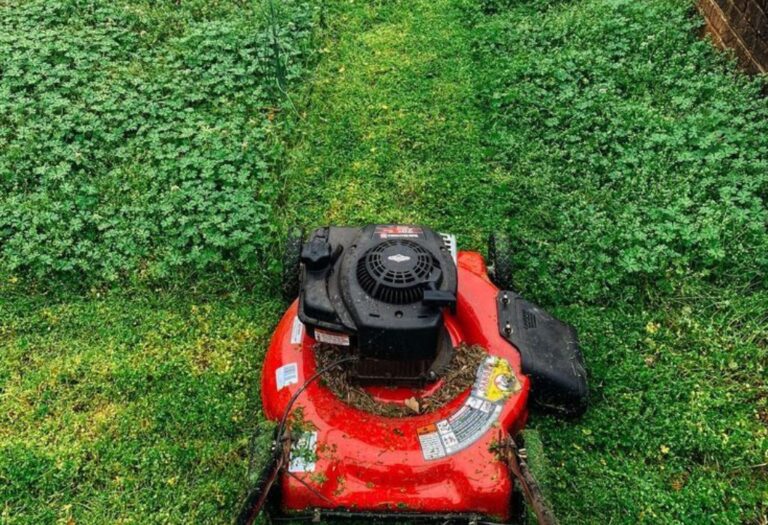 Aeration for Compacted Yard: A Simple Guide to Thriving Lawns