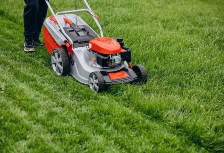 Aeration Versus Power Raking: Choosing the Best Lawn Care