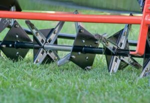 Figuring out should i pick up plugs after aeration is a common question for anyone who cares about a healthy lawn. It can seem a little tricky at first, and you might wonder what the right choice is. Don't worry, though! This is a super common question, and you're in the right place to find out. I'll explain everything clearly, so you can easily decide what's best for your yard. We'll explore the main reasons why this is a good question and how to decide. Let's get started!
What Is Core Aeration and Why Do It?
Core aeration is a lawn care task that involves using a special machine, called an aerator, to remove small cores or "plugs" of soil from your lawn. These plugs are usually about half an inch to an inch in diameter and several inches long. The goal of this process is to improve the health of your lawn and the soil underneath. Aeration is a great way to breathe new life into your yard.
The main reason for aerating is to address soil compaction. Over time, the soil in your lawn can get packed down, especially in areas with high foot traffic or clay-heavy soil. When the soil is compacted, it becomes difficult for air, water, and nutrients to reach the roots of your grass. Aeration helps to break up this compaction, creating pathways for these essential elements to penetrate the soil and reach the roots.
Benefits of Aerating Your Lawn
Aerating your lawn offers a range of advantages that contribute to a healthier and more vibrant yard. By removing soil cores, you're essentially creating space for vital elements to reach the grass roots. This process alleviates soil compaction and encourages robust growth.

Enhanced Air Circulation: Aeration creates small holes in the soil, improving air circulation. This allows the roots of your grass to "breathe" better. Oxygen is essential for root growth and overall plant health. With better air circulation, the roots can function more effectively, leading to a healthier lawn.
Improved Water and Nutrient Uptake: The holes created by aeration facilitate water and nutrient absorption. Water can penetrate the soil more easily, reaching the roots efficiently. Nutrients, such as those from fertilizer, can also reach the roots, giving your grass the nourishment it needs. This results in a greener and more resilient lawn.
Reduced Soil Compaction: Compaction is the enemy of a healthy lawn. It restricts root growth and prevents water and nutrients from reaching the roots. Aeration breaks up compacted soil, allowing the roots to spread and grow freely. This leads to a more resilient lawn that can better withstand stress from heat, drought, and foot traffic.
Thatch Management: Aeration can also help with thatch control. Thatch is a layer of dead organic matter that accumulates on the surface of your lawn. While a thin layer of thatch is normal, a thick layer can prevent air, water, and nutrients from reaching the soil. Aeration helps to break down thatch and improve overall lawn health.

The Science Behind Aeration
Understanding the science behind aeration helps you appreciate its significance for lawn health. The process of removing soil cores directly impacts the fundamental requirements of grass growth. It addresses the issues that arise from compacted soil and improves the essential elements for a thriving yard.
When soil becomes compacted, the spaces between soil particles shrink. This makes it challenging for air, water, and nutrients to move through the soil and reach the roots. Aeration counters this by creating small channels that serve as pathways for these essential elements. Aeration is a bit like giving your lawn a breath of fresh air and a drink of water all at once!
Should You Pick Up Plugs After Aeration?
The question of should i pick up plugs after aeration comes up a lot. Some people wonder if the plugs should be left where they are or if you should remove them. The answer depends on a few different factors, including your goals for the lawn and the type of grass you have. Both options have their pros and cons, and understanding them will help you make the best choice for your yard.
There is no one-size-fits-all answer here. Sometimes leaving the plugs is a great choice, and other times removing them might be better. To decide, you need to consider what you want to achieve for your lawn and the type of grass you have. It's really about picking the option that helps you get the healthiest, most beautiful lawn possible!
Advantages of Leaving the Plugs
Choosing to leave the plugs on your lawn after aeration comes with specific advantages. This method can be a simple and natural way to enhance soil quality and encourage healthy grass growth.

Natural Decomposition: When you leave the soil cores on the lawn, they break down over time. This decomposition process returns valuable organic matter to the soil. This can improve soil structure and fertility.
Improved Soil Quality: As the plugs decompose, they help to loosen the soil, improve drainage, and increase the soil's ability to retain nutrients and water. This is especially useful for lawns with heavy clay soils. This method supports better conditions for root growth.
Reduced Labor: Leaving the plugs is a time-saving approach. You avoid the need to collect and dispose of the cores. This is beneficial if you have a large lawn or prefer a less labor-intensive approach.
Nutrient Introduction: The plugs contain soil and organic matter. As they break down, they release these nutrients back into the soil, which helps to feed your lawn. This method is like a slow-release fertilizer that provides gradual nourishment.

Drawbacks of Leaving the Plugs
While there are advantages to leaving the plugs, there can also be some drawbacks. Being aware of these points can help you decide if this method is the right choice for your particular yard.

Unsightly Appearance: For a short period after aeration, your lawn might look a little messy. The plugs will sit on the surface, and some people don't like how it looks. If you prefer a neat, tidy appearance, this might be a downside.
Smothering of Grass: In some cases, if the plugs are very dense or if you have certain types of grass, they might smother the grass underneath. This is less likely to happen with fine-bladed grasses. But it can happen, especially in areas with very thick thatch.
Weed Seed Distribution: If your lawn has weeds, the plugs could contain weed seeds. As the plugs break down, they might spread these seeds around, potentially increasing weed growth. This is a possibility if you haven't been controlling weeds effectively.
Messy for a Short Time: Until the plugs break down and disappear, they might make your lawn messy. This can be more of a concern if you frequently use your yard for outdoor activities.

How to Decide If You Should Remove Plugs
Deciding if you should i pick up plugs after aeration can depend on a few things. You have to think about your lawn's health, your goals, and how much effort you want to put in. By thinking about all this, you can make the best choice for your lawn.
The best method depends on several things, including the type of grass you have, how much time you want to spend on the process, and what you hope to get out of it. Considering these elements will guide you to make a choice that fits your needs.
Factors to Consider Before Deciding
Before making a decision about whether or not to remove the plugs, consider these aspects. Evaluate the characteristics of your lawn and the desired outcomes to make a decision that helps you to create a beautiful yard.

Grass Type: Different grass types react differently to aeration and the presence of plugs. For example, warm-season grasses such as Bermuda or Zoysia, often benefit from leaving the plugs as they break down and add nutrients. Cool-season grasses like Kentucky bluegrass might respond better if you remove the plugs, which reduces the chance of smothering the grass.
Soil Type: The type of soil you have will affect your decision. If you have clay soil, leaving the plugs might be beneficial. This helps to improve the soil structure as the plugs decompose and add organic matter. In sandy soils, the plugs may disappear faster.
Lawn Use: Think about how you use your lawn. If you have kids or pets, or if you regularly host outdoor events, the appearance of the lawn after aeration matters. Leaving the plugs might be inconvenient for some time. If your lawn has light traffic, you might not be as concerned about the initial mess.
Aesthetics: Consider how you want your lawn to look. Some people prefer the neatness of a lawn without any visible plugs. Others might not mind the temporary appearance. Your personal preferences matter too!

The Best Method for Different Grass Types
The ideal approach to plugs after aeration may be different, depending on the type of grass on your lawn. Knowing the best methods for different grass types ensures that your aeration efforts are as effective as possible.
Here’s a guide on the best method for your type of lawn:

Cool-Season Grasses (Kentucky Bluegrass, Fescue, Ryegrass): These grasses often do better if you remove the plugs. This helps to reduce the risk of smothering and allows for better air circulation. You can use a lawn sweeper or rake to collect the cores.
Warm-Season Grasses (Bermuda, Zoysia, St. Augustine): Warm-season grasses can often benefit from leaving the plugs on the lawn. These grasses tend to grow vigorously and can recover quickly. The decomposing plugs help to improve soil quality. However, if the plugs are very thick, you may still want to remove some.
Hybrid Grasses: If you have a mixture of grass types, consider the predominant type. If you have a significant amount of cool-season grass, it may be better to remove the plugs.

Steps to Remove Lawn Plugs (If You Choose To)
If you've decided to remove the plugs after aeration, following these steps will help you do it effectively. Removing the plugs can improve the appearance of your lawn more quickly.
Choosing to remove the plugs requires a little more work, but it can lead to a cleaner and neater result. The process is not difficult, and these steps will help you get it done effectively.
Gather Your Tools and Equipment
Before getting started, make sure you have the right tools and equipment to make the job easier. Proper tools can make the task much simpler.

Lawn Sweeper or Rake: A lawn sweeper is a machine that helps gather the plugs quickly and easily. A sturdy rake can also be used, especially for smaller lawns or spot treatments. Make sure you have one that's wide enough to cover a decent area.
Wheelbarrow or Tarp: To collect the plugs, you'll need a way to transport them. A wheelbarrow works well for larger lawns, and a large tarp can be a good option for gathering and carrying the plugs.
Gloves: Protect your hands with a pair of gardening gloves.
Optional: Protective Eyewear: It’s always good practice to wear safety glasses.

The Removal Process
Once you have gathered your tools and equipment, you can begin removing the lawn plugs. This process involves a few steps to make it as effective as possible.

Wait for the Right Conditions: It is best to aerate when the soil is slightly moist. Dry soil can make it difficult for the aerator to penetrate, while wet soil can make a mess. The same applies to removing the plugs. If the soil is too dry, the plugs will be hard to move. If it is too wet, it can be a sticky and messy job.
Start Sweeping or Raking: Begin sweeping or raking your lawn in a consistent pattern. Work methodically to collect all the plugs, making sure you reach every area of the lawn. Consider the direction you are sweeping or raking, as this can affect the efficiency.
Collect and Dispose of Plugs: As you collect the plugs, gather them in your wheelbarrow or on the tarp. You can use them in your compost, or dispose of them as yard waste. Avoid piling the plugs on the lawn for an extended time.
Clean Up: After collecting all the plugs, give your lawn a final sweep or rake to catch any stray pieces. Take some time to clean your tools and put them away.

Aftercare After Aeration
After you aerate your lawn, giving it proper care will ensure that your grass thrives. Post-aeration care sets the stage for optimal growth.
Providing the right care after aeration is an important step to ensure a lush and green lawn. These steps help with fast recovery and provide the best conditions for a healthier yard.
Watering and Fertilizing
Watering and fertilizing are important steps after aeration. Proper hydration and nourishment are essential to assist the grass in recovering.

Water Thoroughly: Water your lawn deeply and thoroughly after aeration. This helps the grass roots get established and promotes healthy growth. Water to saturate the soil. Deep watering encourages roots to grow downward, creating a more resilient lawn.
Fertilize: Apply fertilizer after aeration. Aeration allows the fertilizer to reach the roots directly. Choose a fertilizer type that matches your grass type. Follow the manufacturer's directions for application.

Seeding and Overseeding
Seeding and overseeding can be very beneficial after aeration, particularly for filling in thin areas or repairing damage.

Seeding: Aeration is a great time to seed your lawn. The holes created by the aerator make it easier for the grass seeds to reach the soil. Spread the seeds evenly, and cover them lightly with soil or compost.
Overseeding: Overseeding is the process of adding new grass seed to an existing lawn. This can help to fill in bare spots and thicken your grass. Choose the right seed type for your grass. Follow the directions for spreading the seed.

Frequently Asked Questions
Question: When is the best time to aerate my lawn?
Answer: The best time to aerate your lawn depends on your grass type. For cool-season grasses, aerate in the early spring or fall. For warm-season grasses, aerate in the late spring or early summer.
Question: How often should I aerate my lawn?
Answer: The frequency of aeration depends on your lawn's condition and soil type. In general, aerate compacted lawns once a year. Lawns with heavy clay soils may benefit from aeration twice a year.
Question: What type of aerator should I use?
Answer: There are various types of aerators available. Core aerators remove soil plugs, making them the most effective. Spike aerators simply poke holes, which can be less effective, especially in compacted soil.
Question: Can I aerate my lawn myself, or should I hire a professional?
Answer: You can aerate your lawn yourself, especially if you have a small lawn. Renting a core aerator is an option. For larger lawns, or if you prefer a hassle-free approach, hiring a professional lawn care service is a good choice.
Question: What if it rains after aeration?
Answer: Rain after aeration can be beneficial because it helps to settle the plugs back into the soil and aids in the absorption of nutrients. However, avoid walking on the lawn immediately after aeration, especially if it is very wet, to prevent compaction.
Final Thoughts
So, should i pick up plugs after aeration? As you've seen, there's no single "right" answer. The best approach depends on your lawn’s unique needs and your goals. Leaving the plugs lets nature do the work of adding organic matter and nutrients back into your soil. Removing the plugs improves your lawn's look right away, giving you a neater appearance. Thinking about your grass type, soil type, and how you use your yard will help you pick the best choice. No matter what you choose, aeration is a great step to a healthier lawn.
Now, go out there and aerate your lawn! Whether you leave the plugs or remove them, you're making a good investment in a greener, healthier yard. Your lawn will thank you for it!