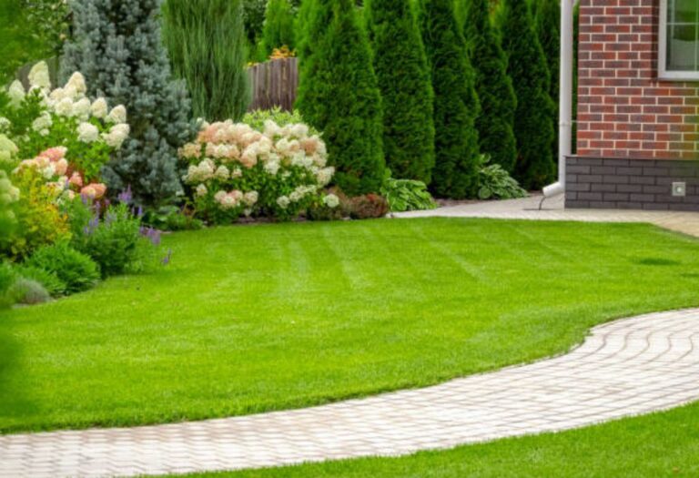 Aerating Uneven Yard: A Step-by-Step Guide for Lush Lawns