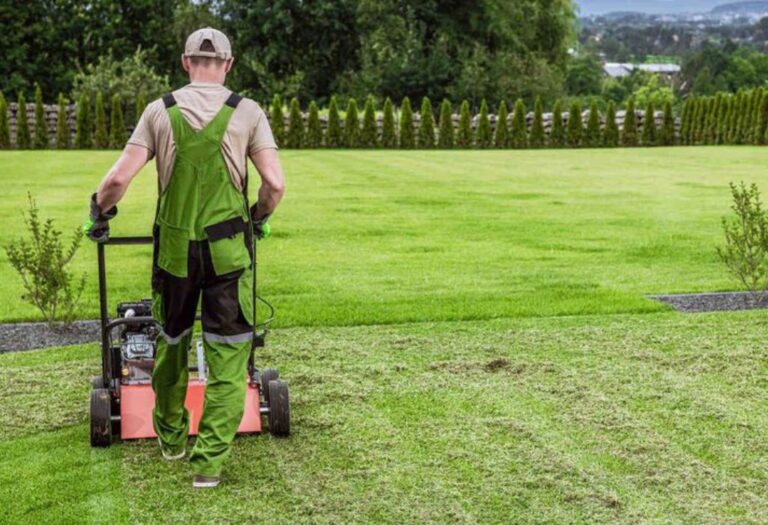 How to Aerate Lawn Naturally For a Lush, Green Yard