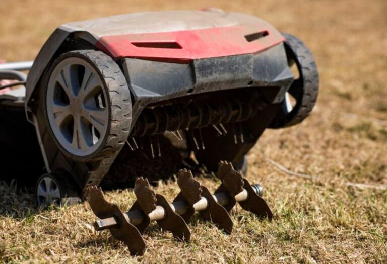 How Long After Aeration to Fertilize: A Simple Guide
