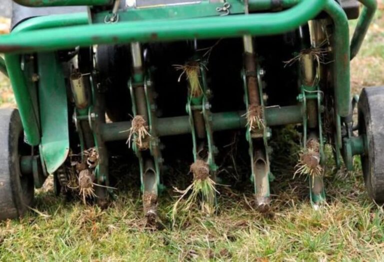 Does Aeration Help Lawn Grow? A Complete Lawn Care Guide