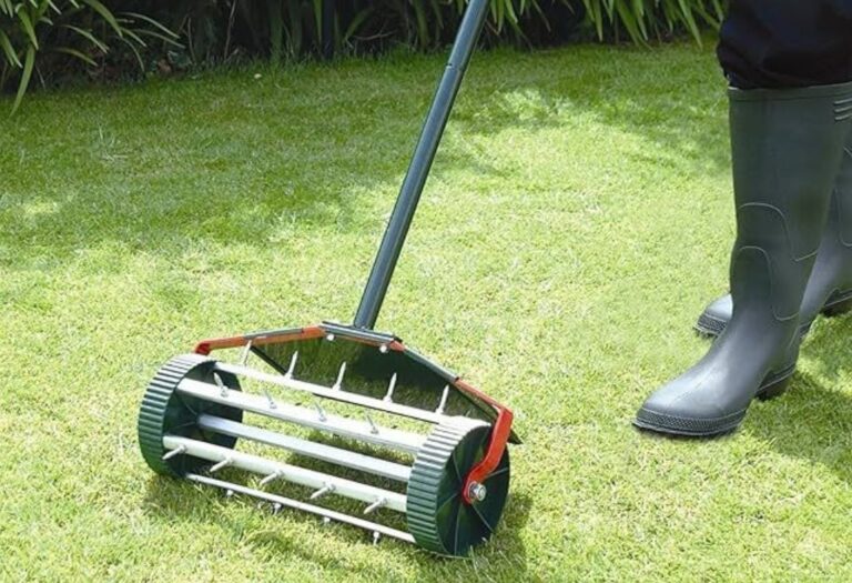 Lawn Aeration During Summer Simple Guide