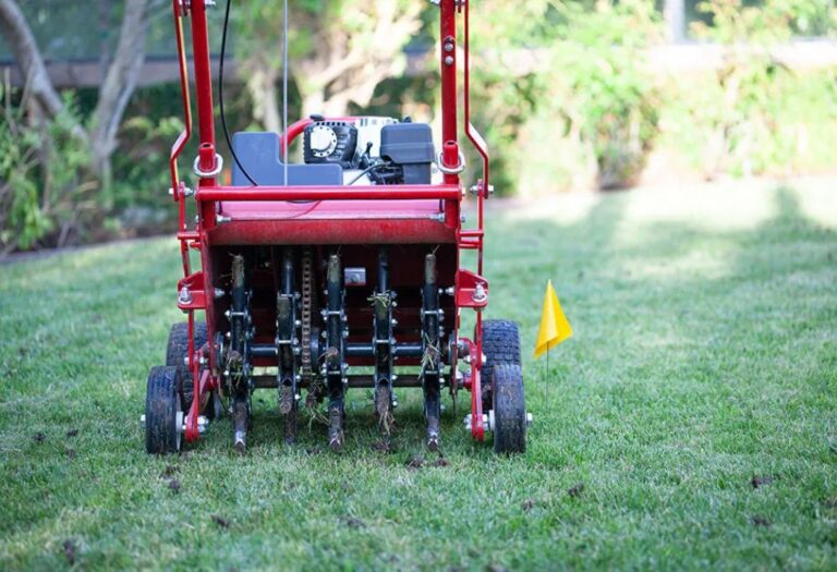 Can You Aerate New Sod? A Simple Guide for a Green Lawn