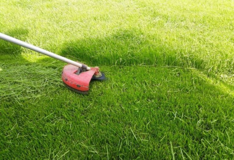 How to Trim Around Garden Beds Without Accidents