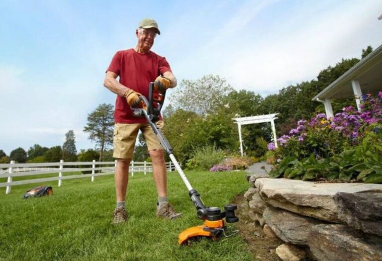 Trimming Flower Beds: A Simple Guide for a Neat Yard