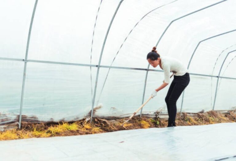 How to Disinfect a Grow Tent: A Complete Guide