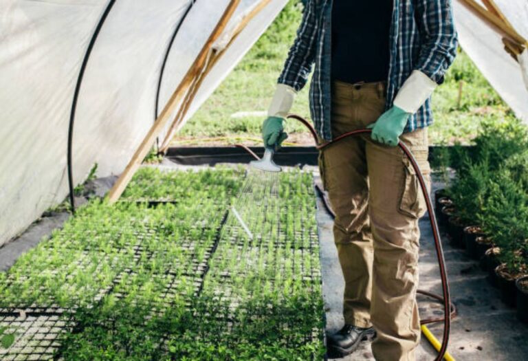 How To Clean Grow Tent: A Simple Guide for a Thriving Garden