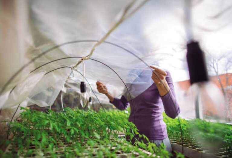 Grow Tent Operation Tips for a Safe Indoor Garden