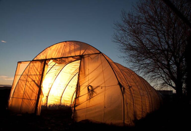 Preventing Grow Tent Fires: A Simple Guide for Safety