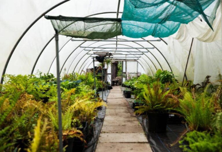 Grow Tent Layout Ideas: Maximizing Space and Yield