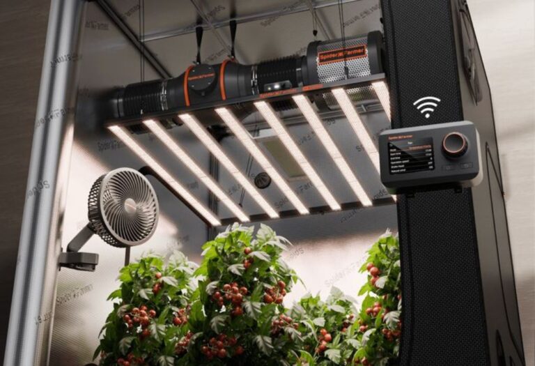 How to Organize Grow Tent: A Simple Guide for Indoor Growers