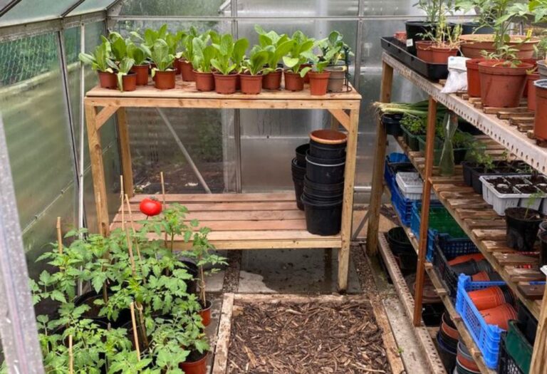 Managing Many Green Friends in a Tent