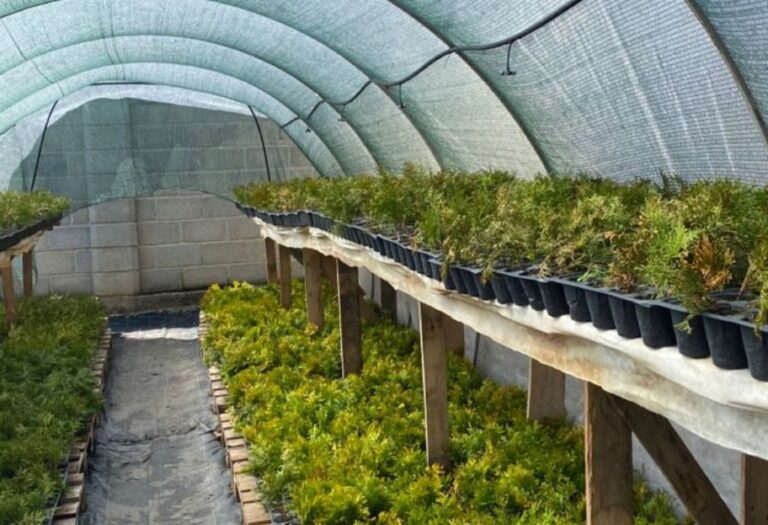 Grow Tent Space Problems and Simple Solutions