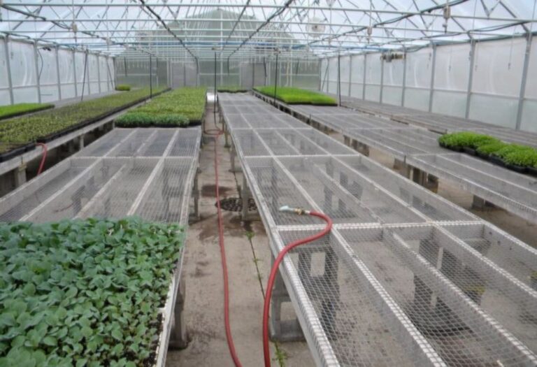 How To Make A Grow Tent Airtight: A Simple Guide