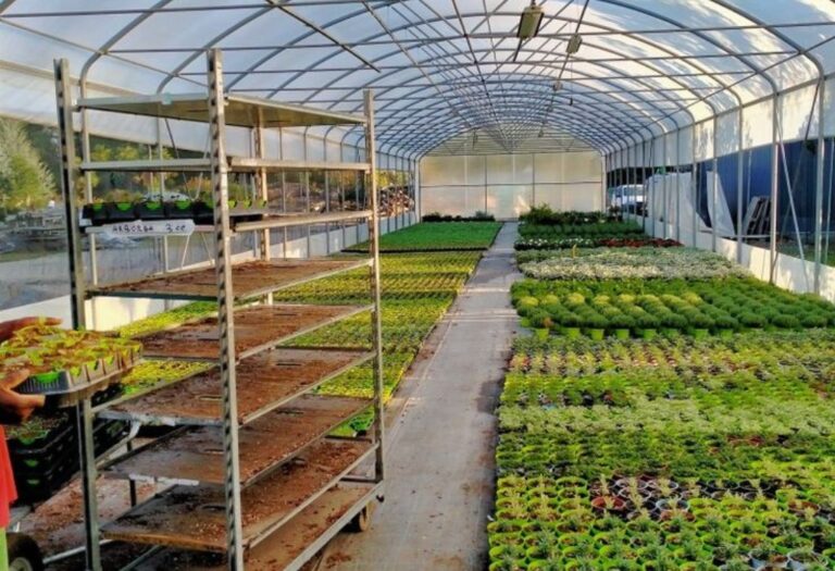 Grow Tent Negative Pressure Made Simple for Thriving Plants
