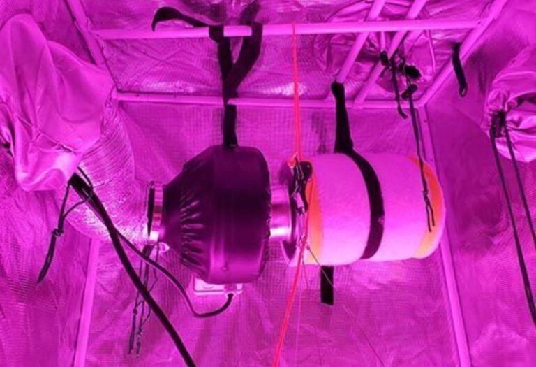 How to Hang Carbon Filter in Grow Tent Step by Step Guide