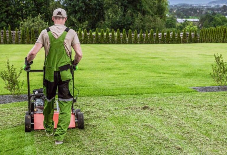 Why Aerator Not Making Holes? Troubleshooting Tips and Tricks