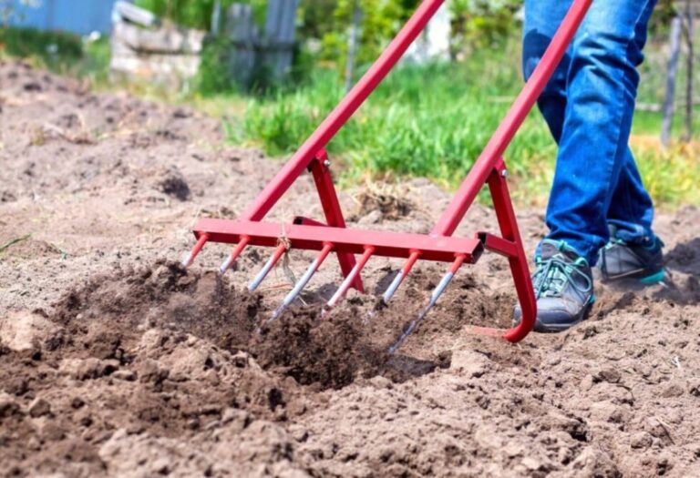 Can You Aerate Wet Soil? A Gardener's Guide to Healthy Roots