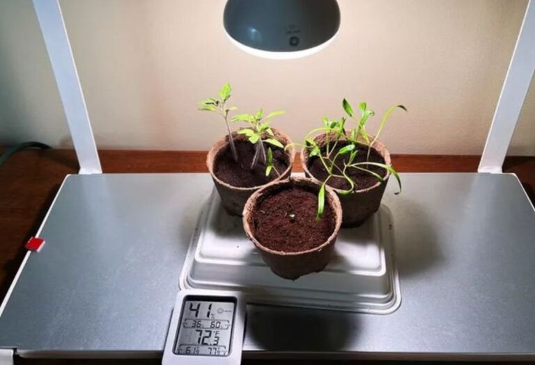 Grow Tent Humidity Drops at Night Simple Solutions