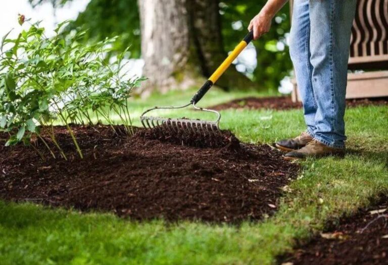 How to Aerate Sandy Soil: A Simple Guide for Gardeners