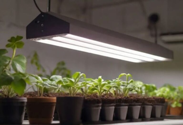 How Do Grow Lights Work Explaining Light and Plant Growth