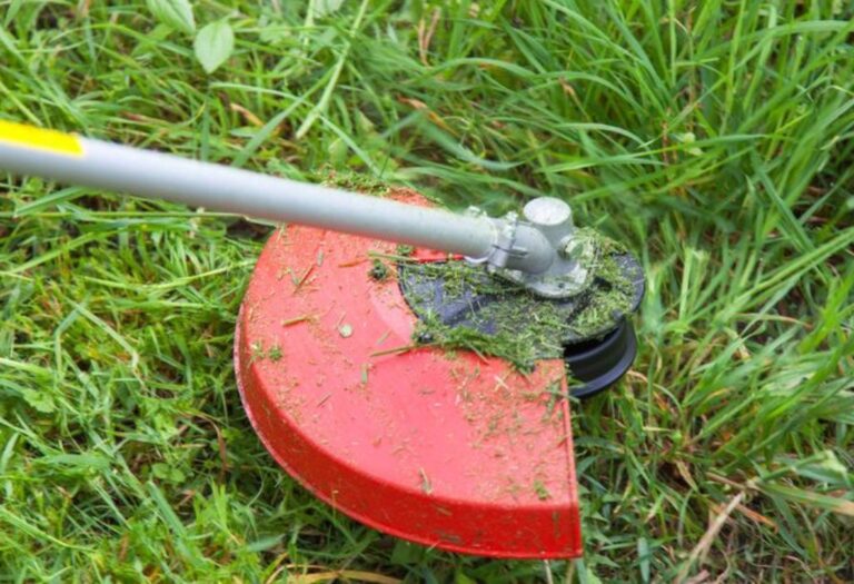 How to Winterize a String Trimmer for Easy Spring Starts