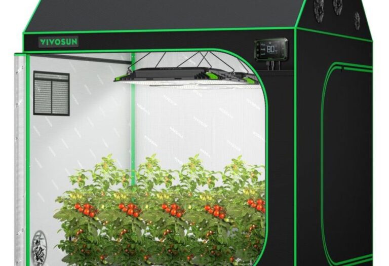 Why Plants Drooping in Grow Tent: Causes and Solutions