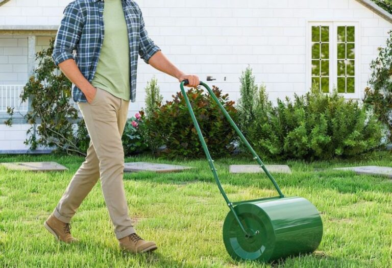 Lawn Rolling Problems: Common Issues and Simple Solutions