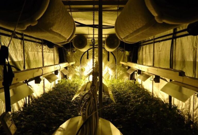 Grow Tent Overheating at Night: Solutions for Your Plants