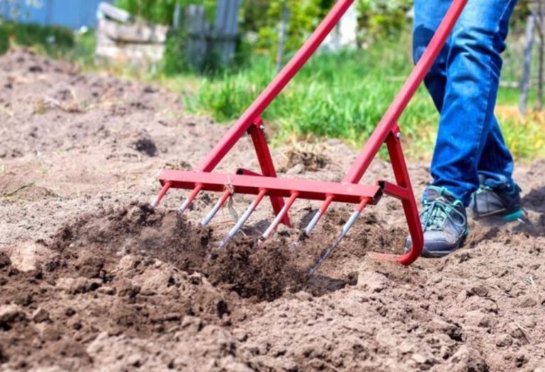 How to Aerate Compacted Soil: Simple Steps for Healthier Lawns