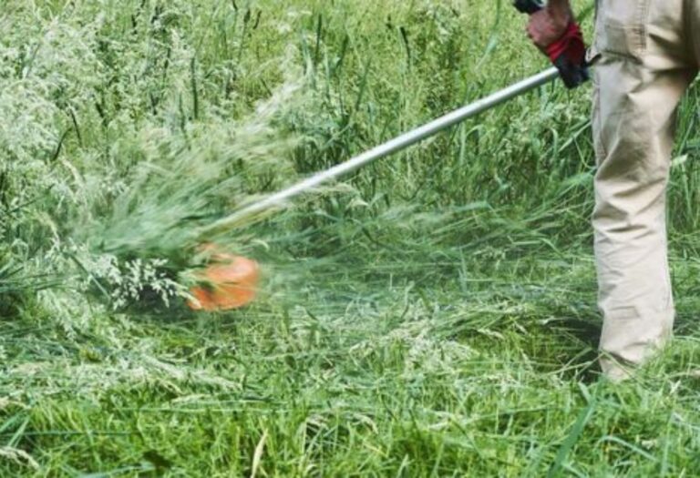 What Is Lawn Aeration and Why It Matters for Your Yard?